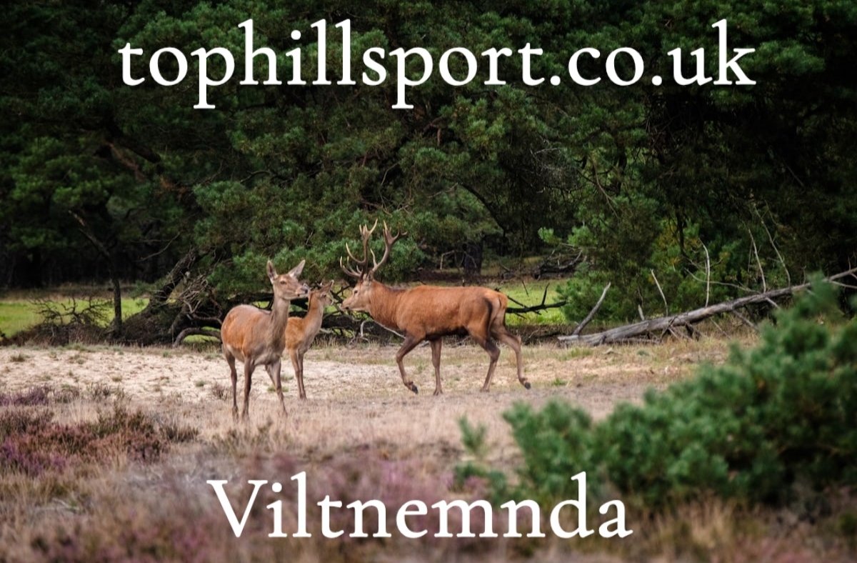 Viltnemnda: Understanding the Wildlife Board Shaping Nature Management