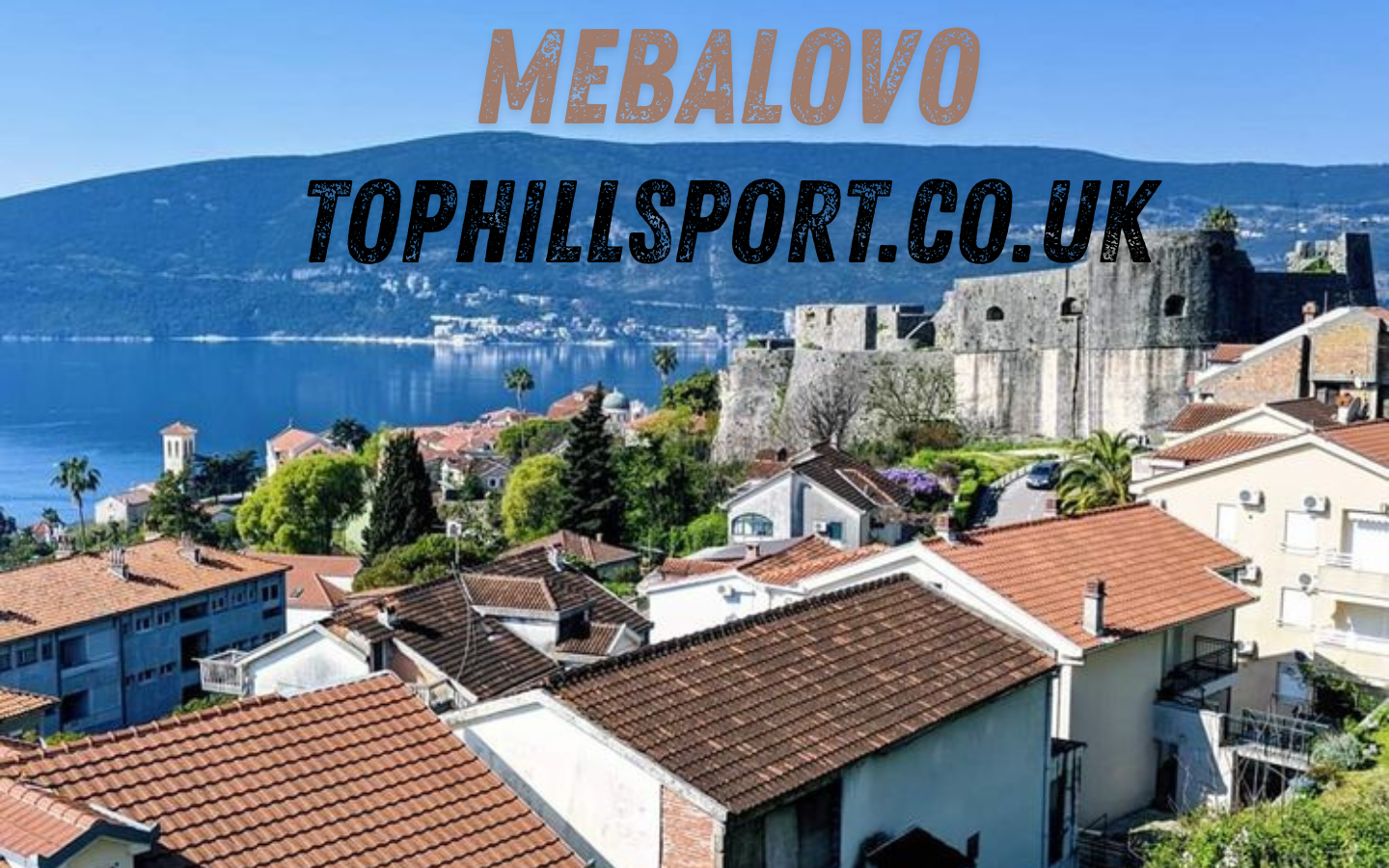 What Is Mebalovo? A Complete Guide to the Rising Term