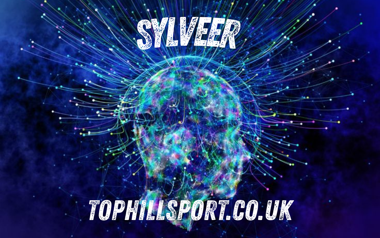 Sylveer in Focus: Origins, Trends, and Digital Presence