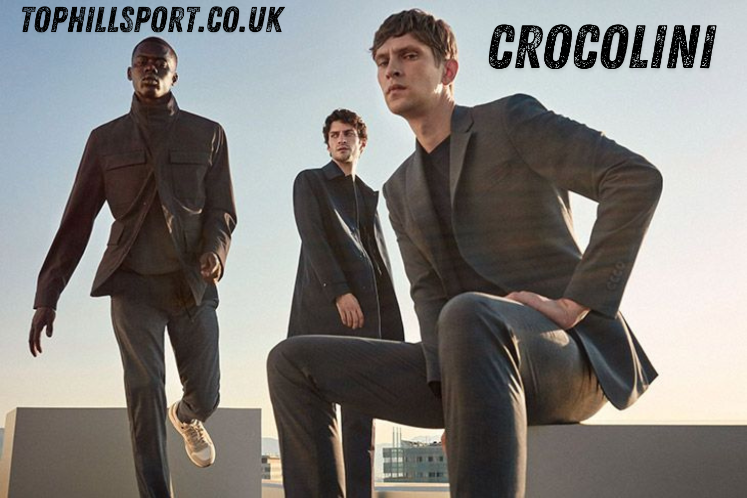 The Rise of Crocolini: Why It’s So Popular in 2026