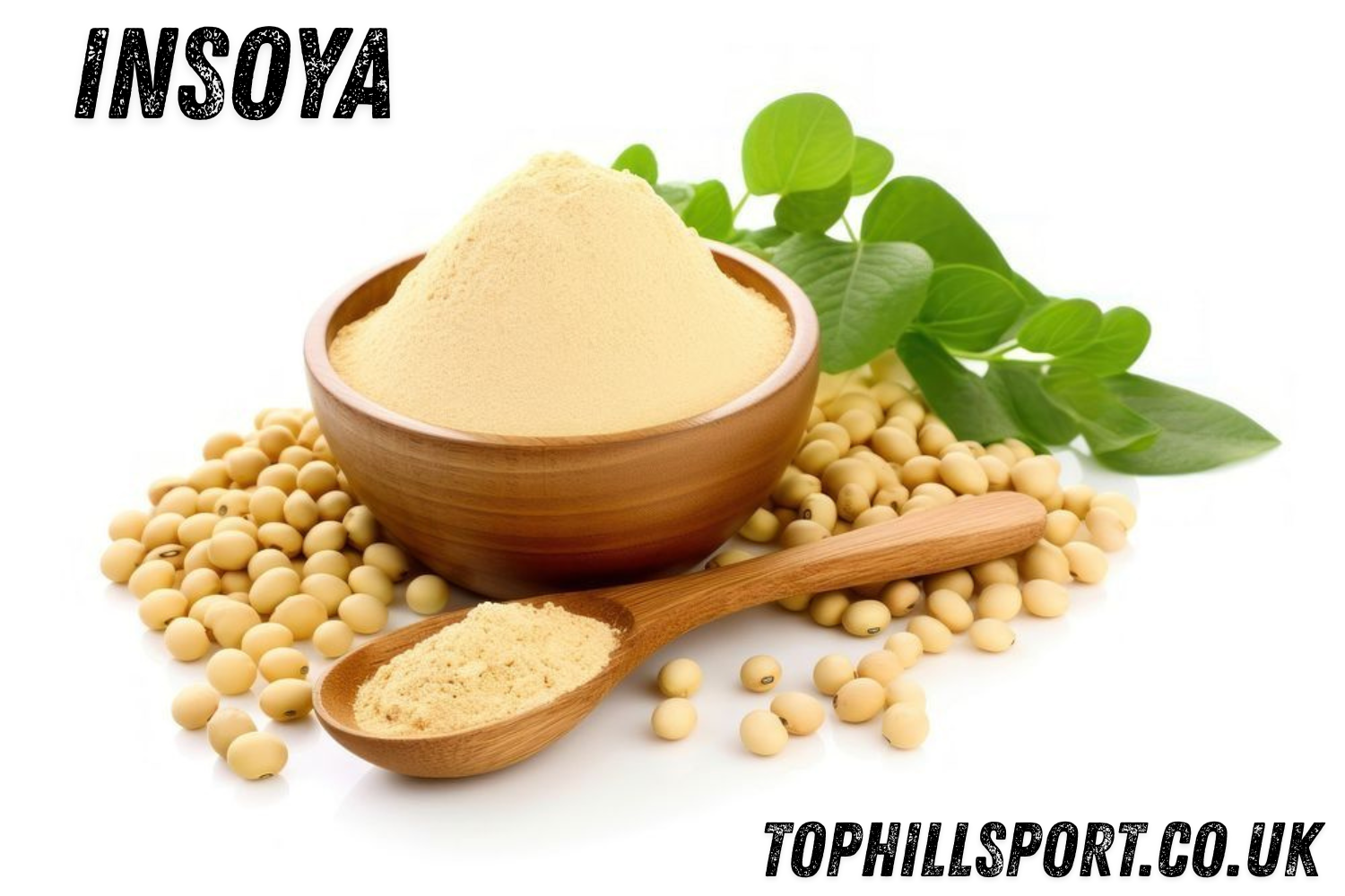 Why Insoya Is the Best Plant‑Based Protein for Your Daily Diet