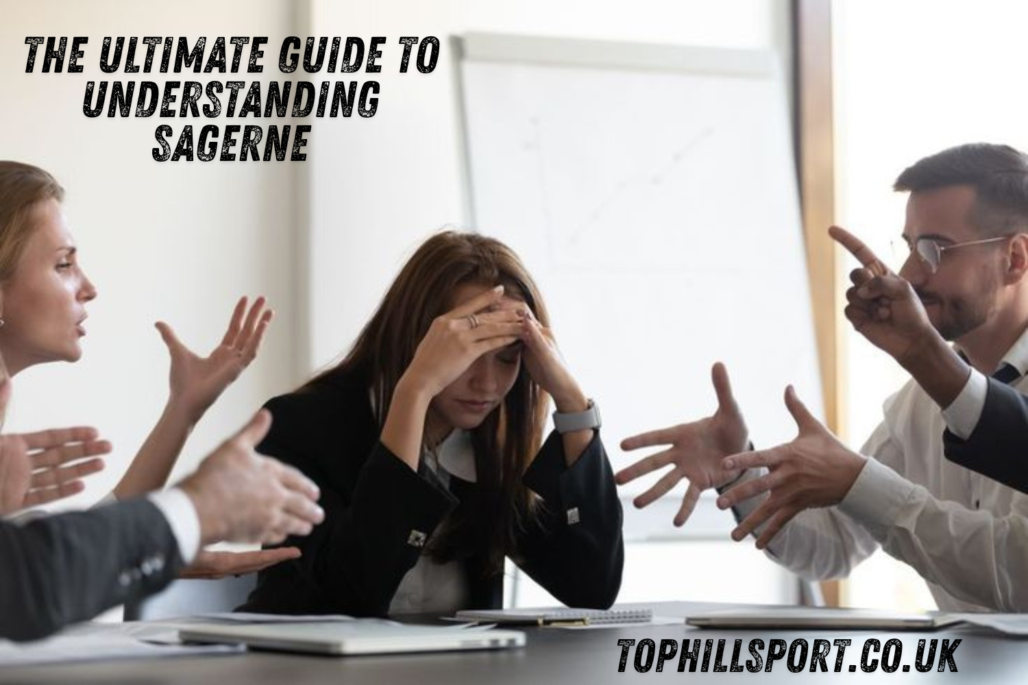 The Ultimate Guide to Understanding sagerne